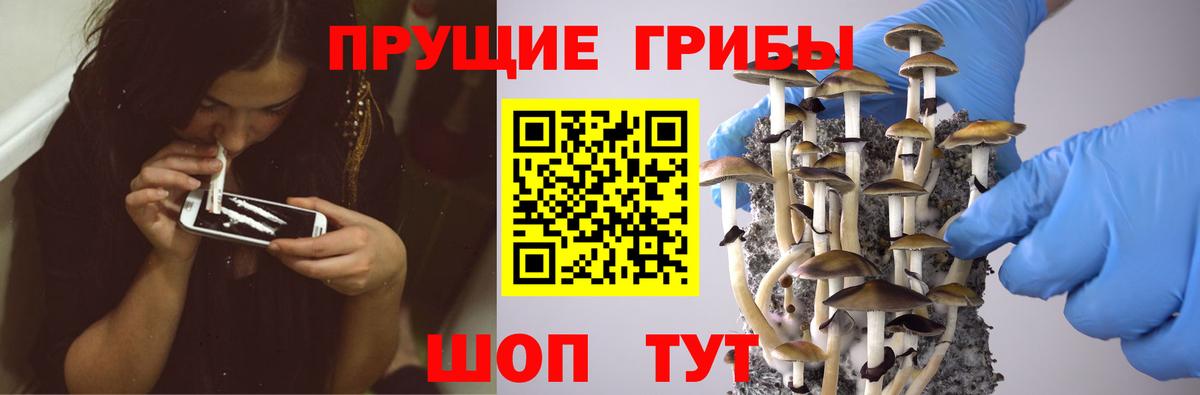 Псилоцибиновые грибы мицелий  сколько стоит  Галлюциногенные грибы Psilocybe  Октябрьский  Вход с VPN 