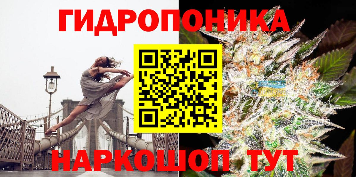 МАРИХУАНА Bruce Banner  Вход с VPN  Каннабис индика  Конопля марихуана  Октябрьский 